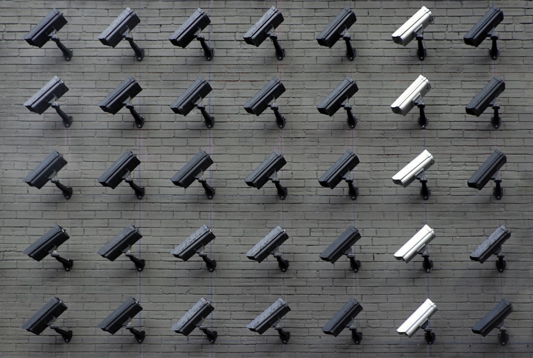 Photo by Lianhao Qu assorted-color security cameras